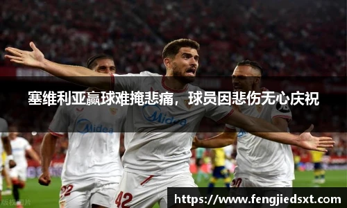 BB贝博艾弗森官网入口