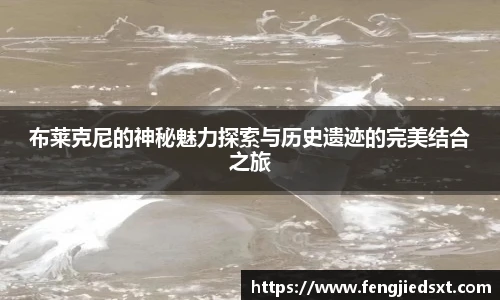 BB贝博艾弗森最新地址